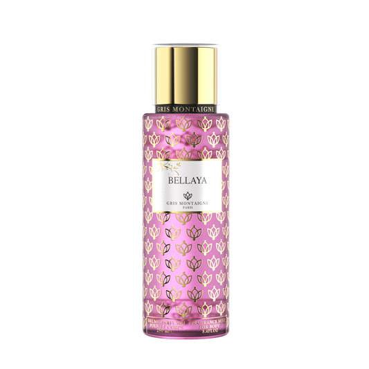 Bellaya - Gris Montaigne - 250 ml